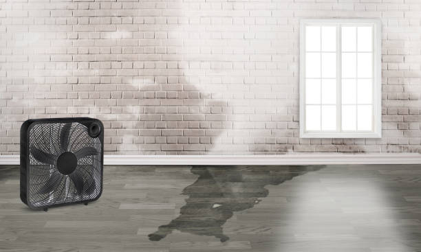 Best Water damage restoration near me  in Ontonagon, MI