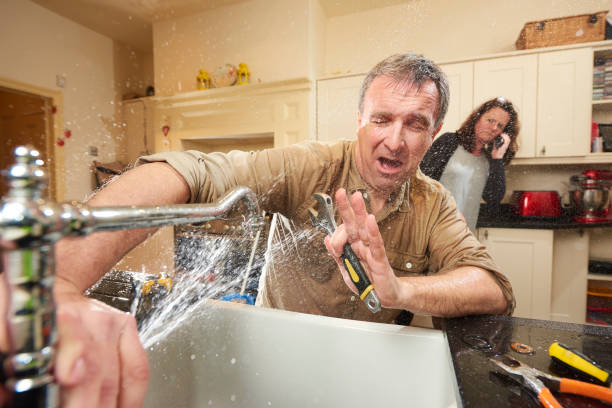 Best Carpet water damage restoration  in Ontonagon, MI